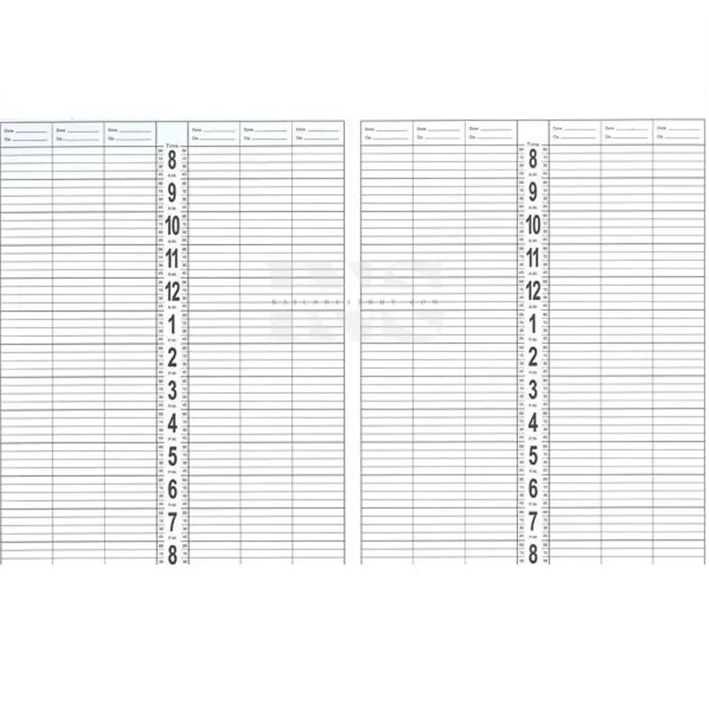 DL PRO Appointment Book 12 Column C201 - Image 3