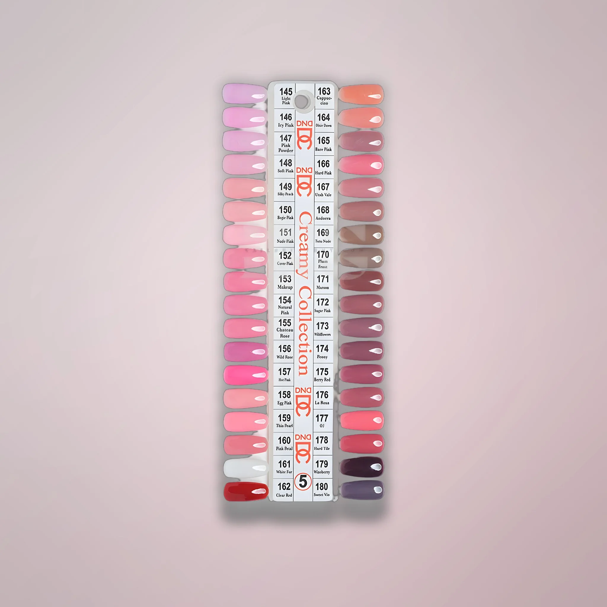 DND DC Sample Swatch 5