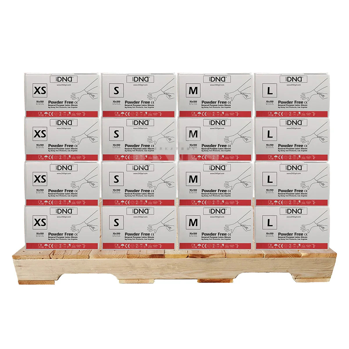 DND Latex Gloves 10/Case - 88/Case per PALLET (W2) - Image 3