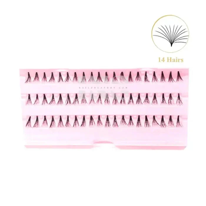 iLASH NATURAL 14 Hairs Knot Free Lashes MEDIUM 50 Trays/Box - Image 2