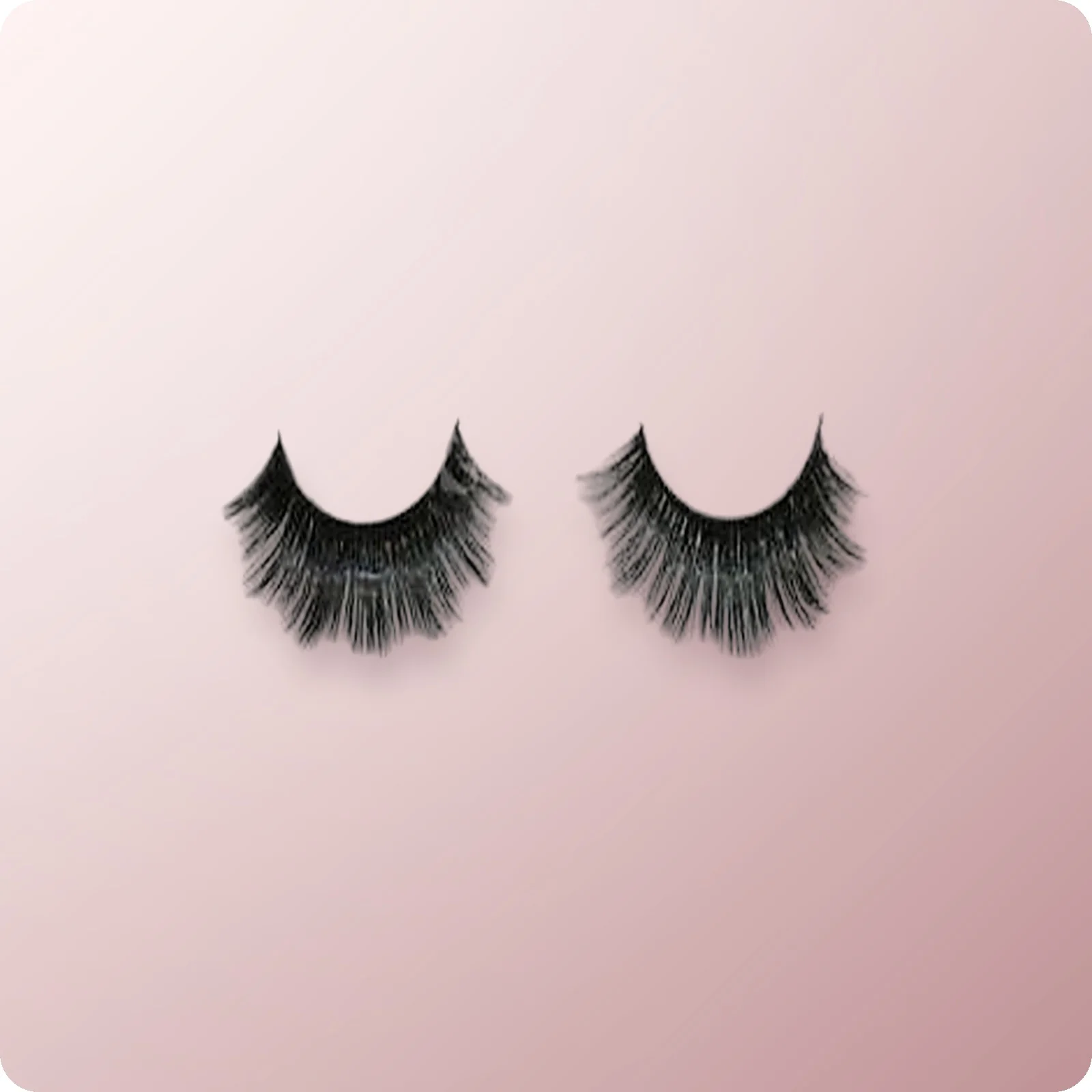 LASH COMPANY Strip Lash Drama Queen