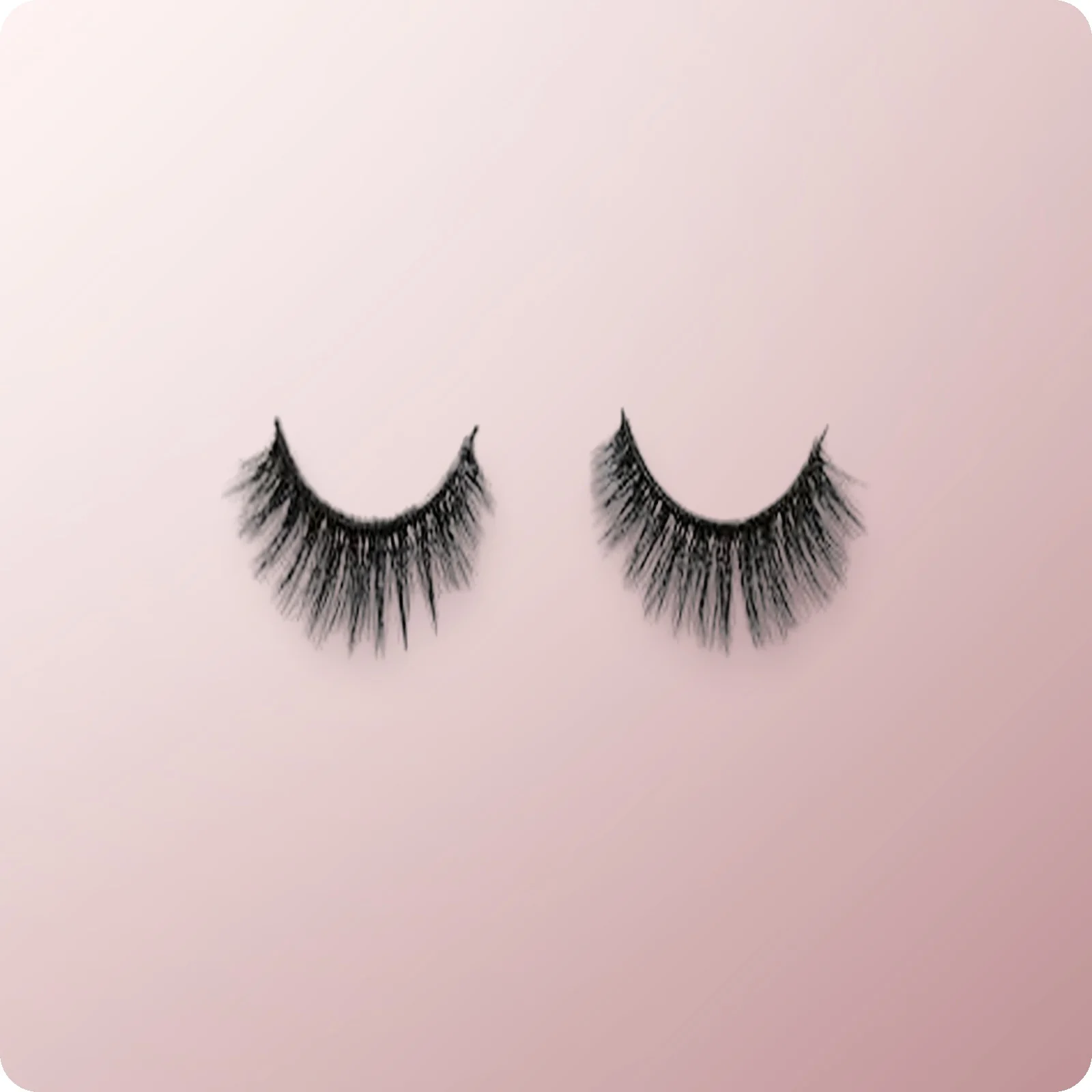 LASH COMPANY Strip Lash Ocean Night