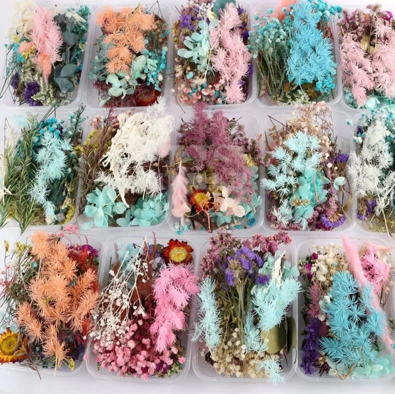 Nail Art Real Dried Flower