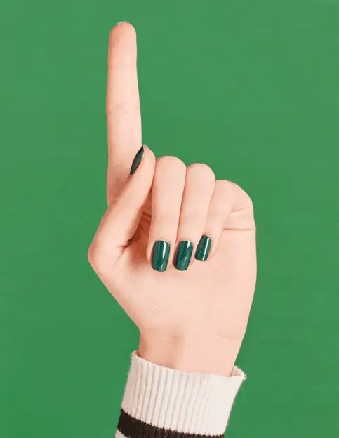 OPI Nail Polish - Washington D.C Fall 2016 - Stay Off The Lawn! NL W54 - Image 5