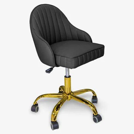 T-SPA Berwin Technician Chair - Image 3