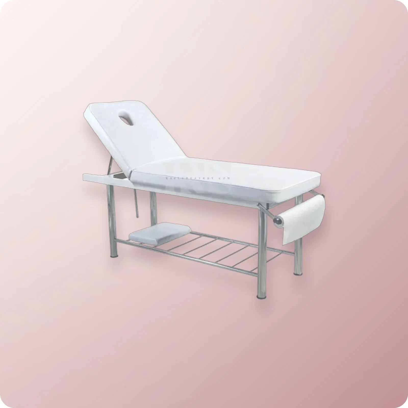 WHALE SPA FACIAL BED ZD-807